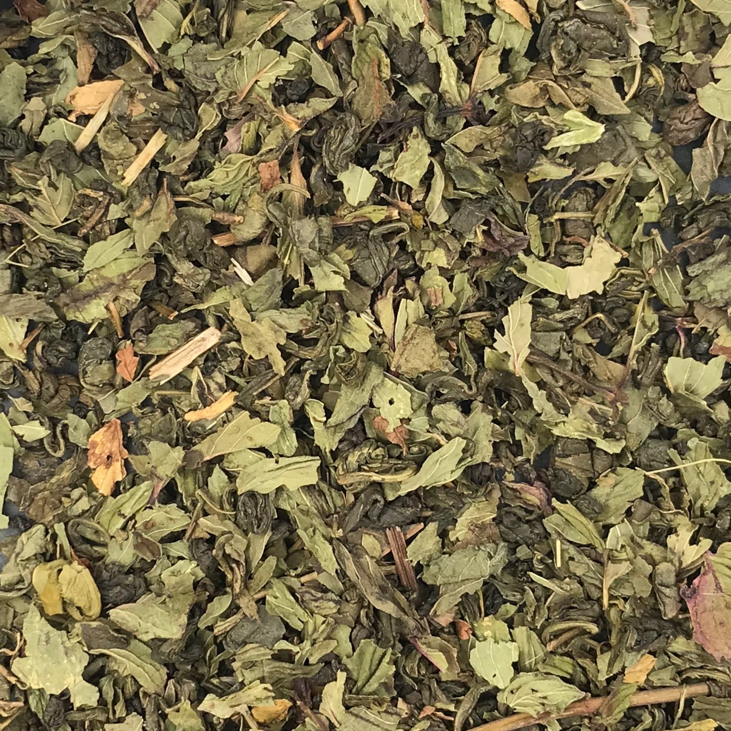 Marrakech Night Premium BIO