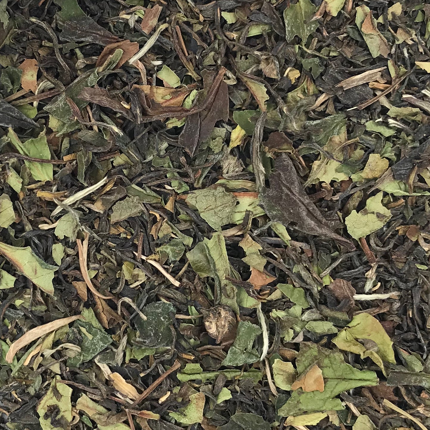 Jasmin Impérial BIO