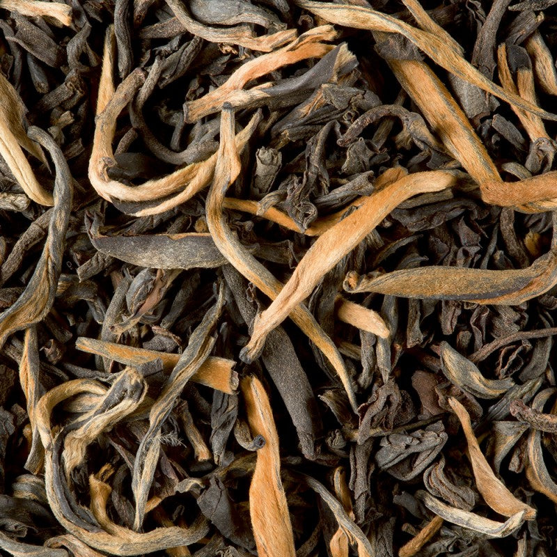 Greater Yunnan Upper GFOP