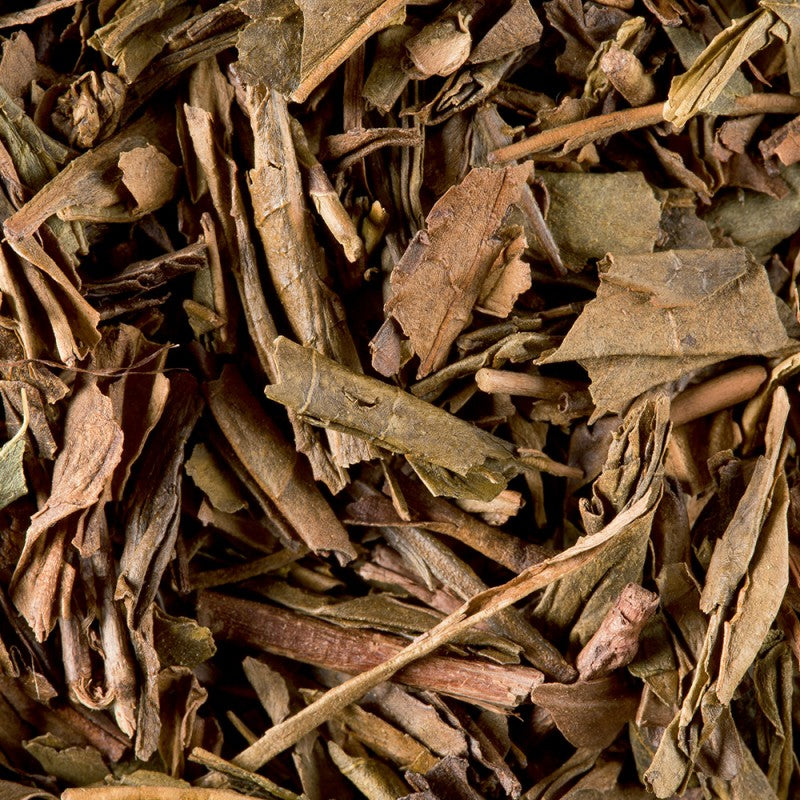 Thé du Japon Houjicha