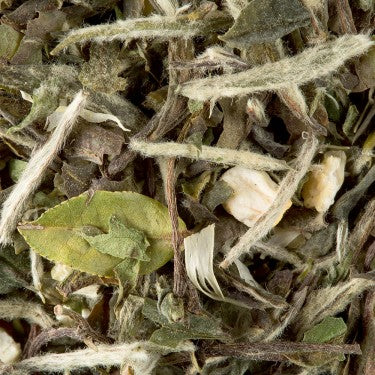 Great Earl Grey