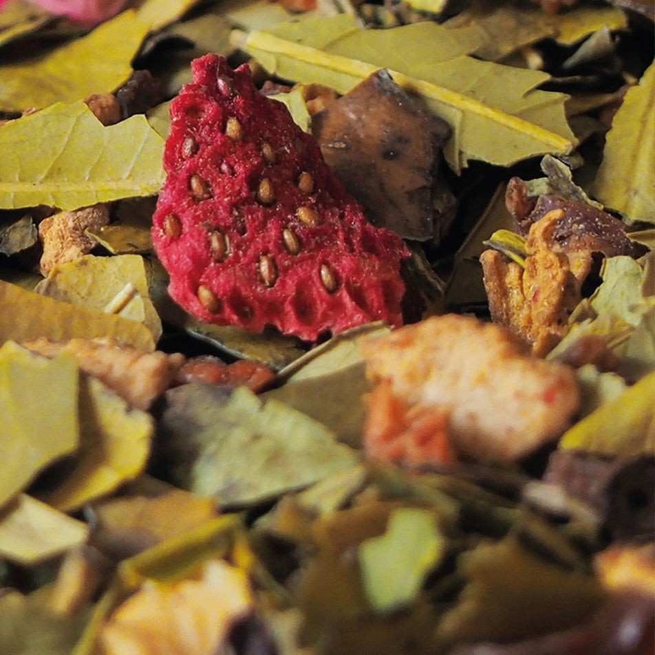 Maté Fraise Framboise BIO