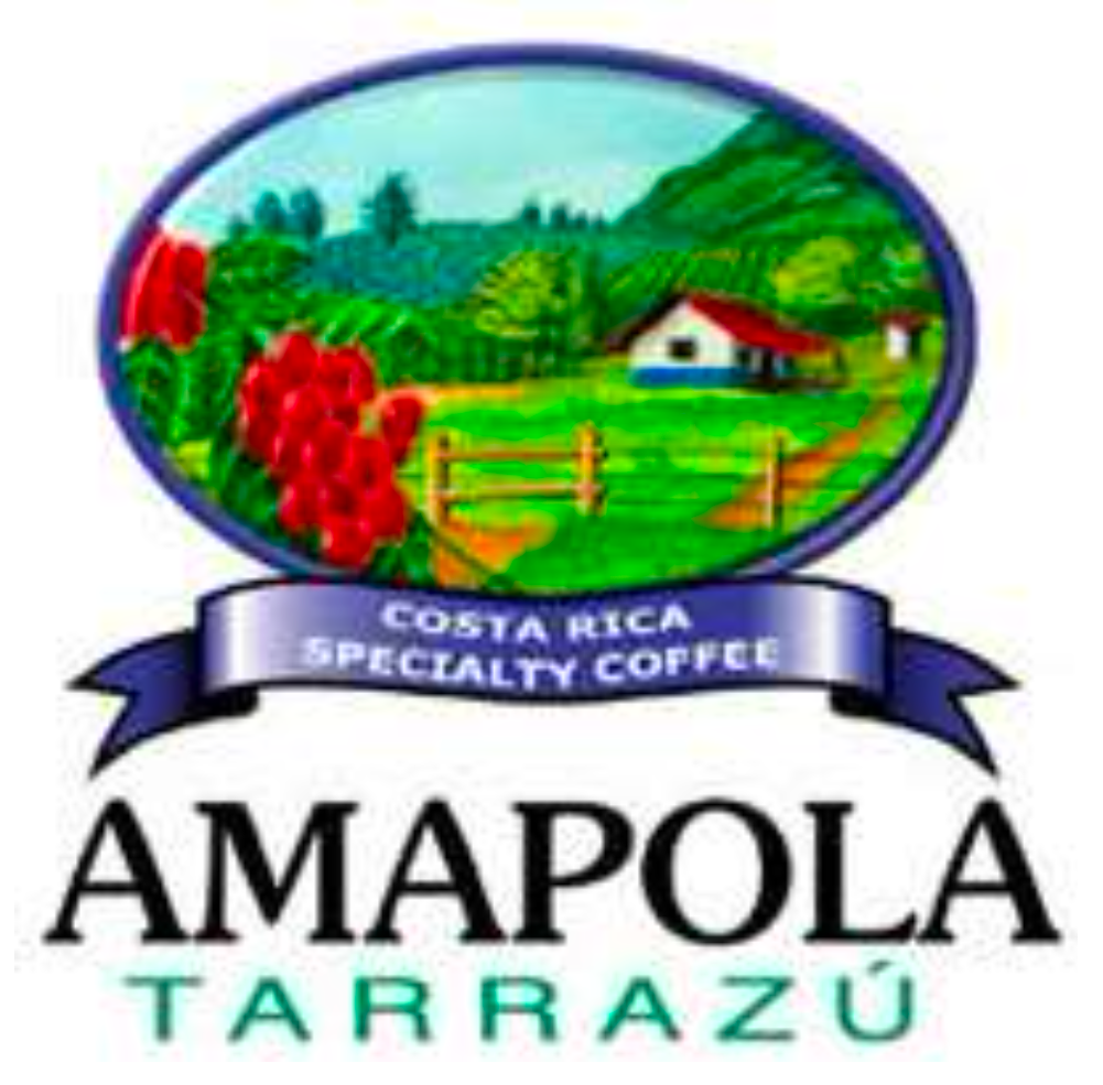 Costa Rica Tarrazu Amapola