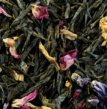 Sencha Printemps