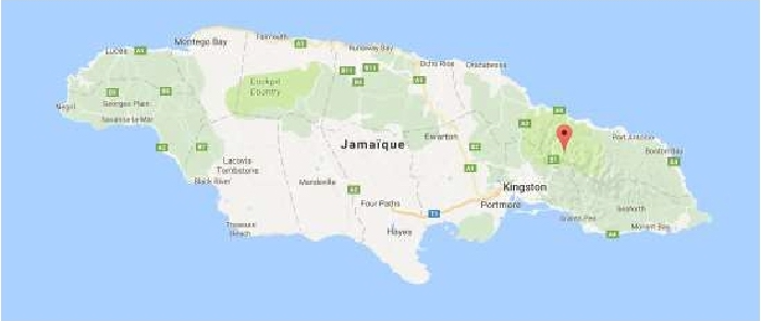 Colombia Supremo Igp