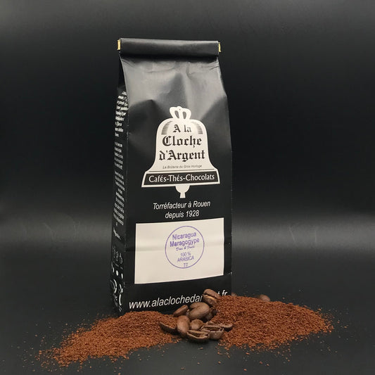 Nicaragua Maragogype