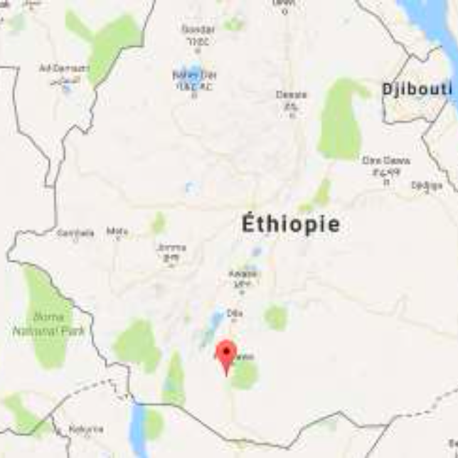 Moka Sidamo Lavé Grade 2 d’Ethiopie