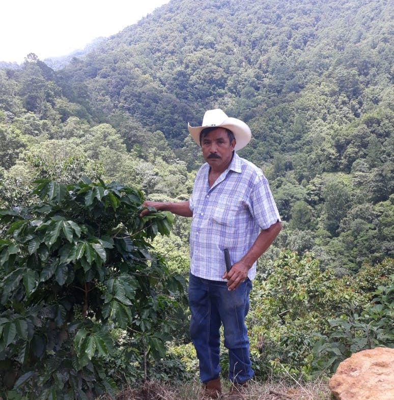 Decaffeinated coffee (with water) Excelso from Colombia